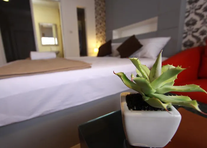 Hotel Bearing26 2*
